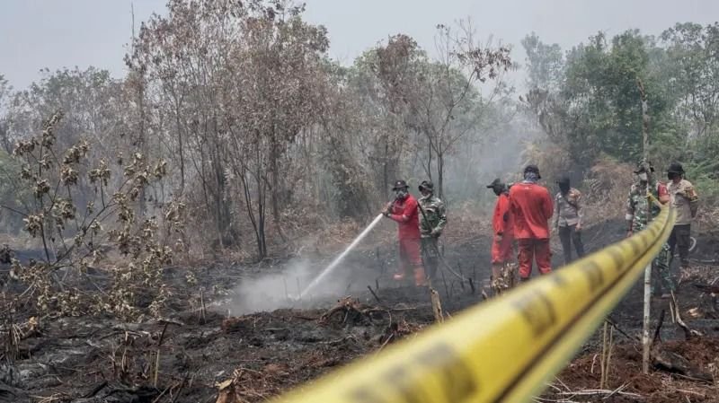 Sumatera Mulai Reda, Kalimantan Justru Membara: Hotspot Kalteng Melonjak 1.837 Titik dalam Sehari