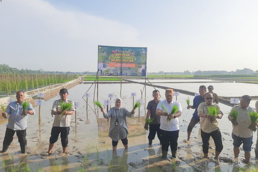 Bupati Batu Bara Ikuti Gerakan Tanam Serempak 50.000 Hektare, Dorong Kesejahteraan Petani