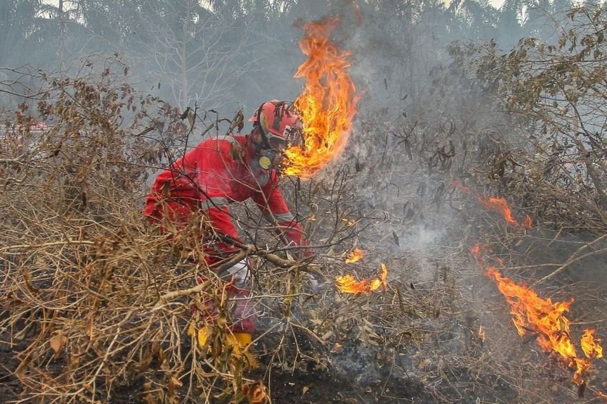 BNPB Catat Rentetan Bencana di Sulawesi hingga Jawa dalam Sehari