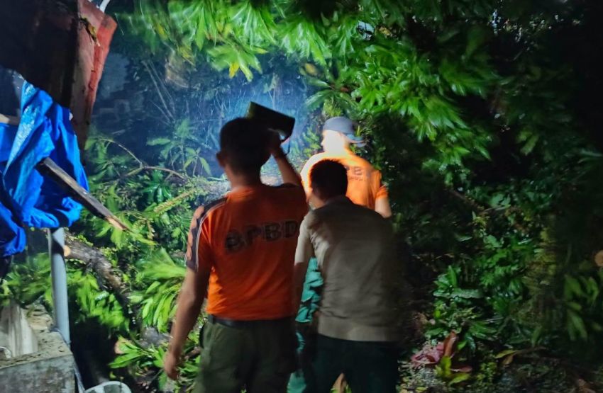 BPBD Catat 272 Bencana Terjadi di Sumut Sepanjang Januari-Juli 2026, Cuaca Ekstrem Paling Dominan