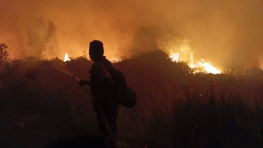 DPR Minta Polri Usut Dalang dan Pendana di Balik Kasus Karhutla