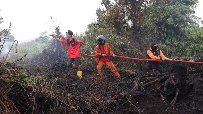 DPR Desak Karhutla Kalimantan Jadi Prioritas Nasional, 1.487 Titik Api Terdeteksi
