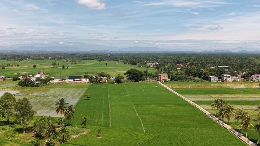 Satgas PRR Sinkronkan Pemulihan Sawah Rusak Pascabencana di Aceh, Sumut, dan Sumbar