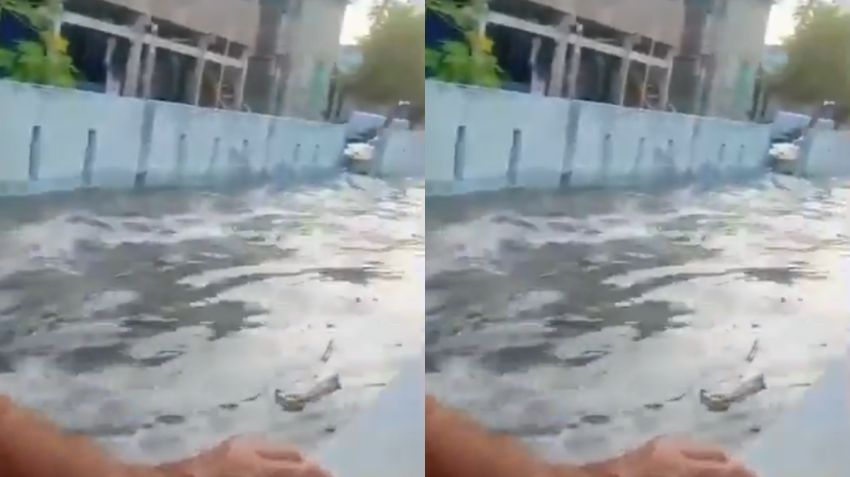 Gempa M7 Guncang Nagekeo, Tsunami 0,94 Meter Terjang Maurole