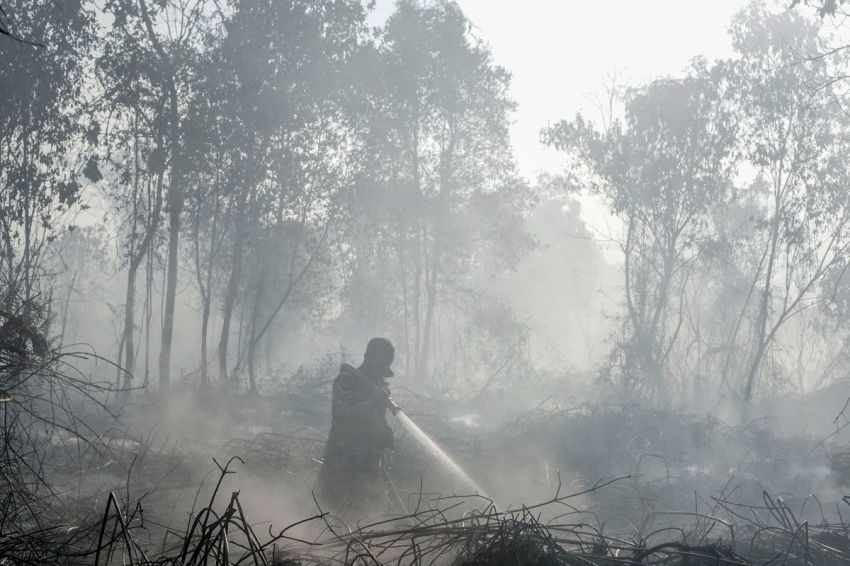 BMKG Deteksi 2.945 Titik Panas di Sumatra, Sumsel Terbanyak