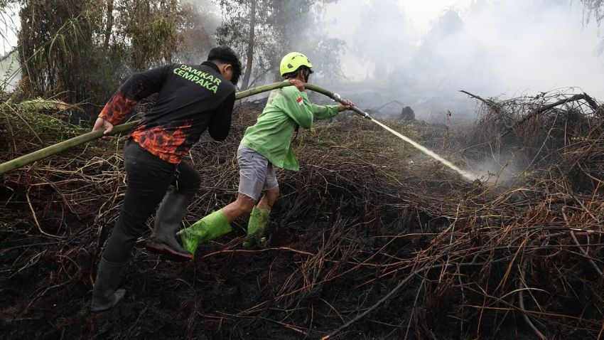 Titik Api Baru Terus Muncul di Paser dan Kukar, DPR Desak Kemenkeu Segera Cairkan Rp290,9 Miliar