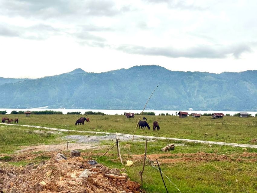 Pemkab Aceh Tengah Pulihkan 1.496 Hektare Sawah Rusak Pascabencana, Petani Ditargetkan Kembali Menanam September