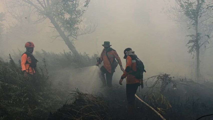 936 Hektare Terbakar di Kaltim, DPR Ingatkan: Ini Bukan Lagi Soal Padamkan Api, tapi Keselamatan Warga