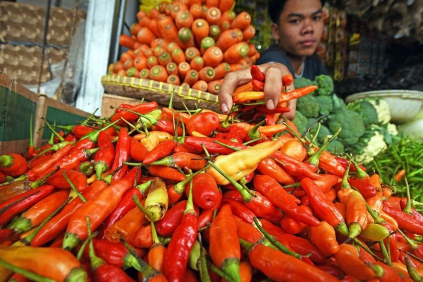 Cabai Rawit Merah Termahal Rp62.650/Kg, Ini Rincian Lengkap Harga Pangan Hari Ini