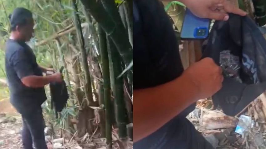 Simpan Puluhan Paket Ganja di Pohon Bambu, Pria di Deli Serdang Ditangkap