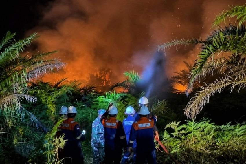 "Tanggal 1 Kita Hajar Habis-habisan", Menhut Kejar 3 Hari Emas Peluang Hujan demi Padamkan Karhutla Riau