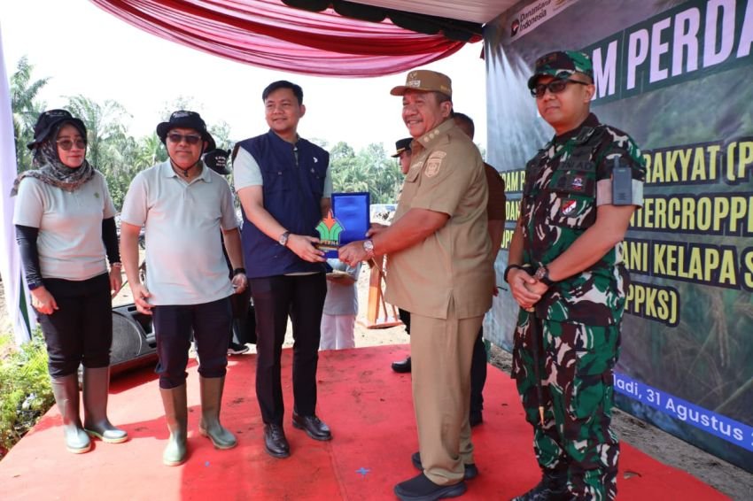Bupati Asahan Tanam Perdana PSR Kemitraan dan Padi Gogo di Bandar Pasir Mandoge
