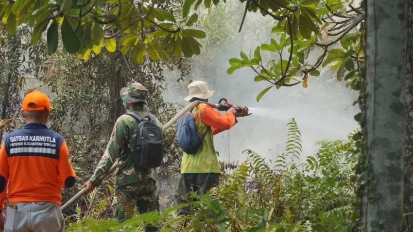 TNI Siagakan 66.510 Personel untuk Tangani Karhutla di Indonesia