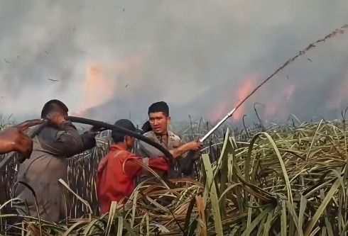 Karhutla Mengintai, 1.104 Titik Panas Terdeteksi di Pulau Sumatra