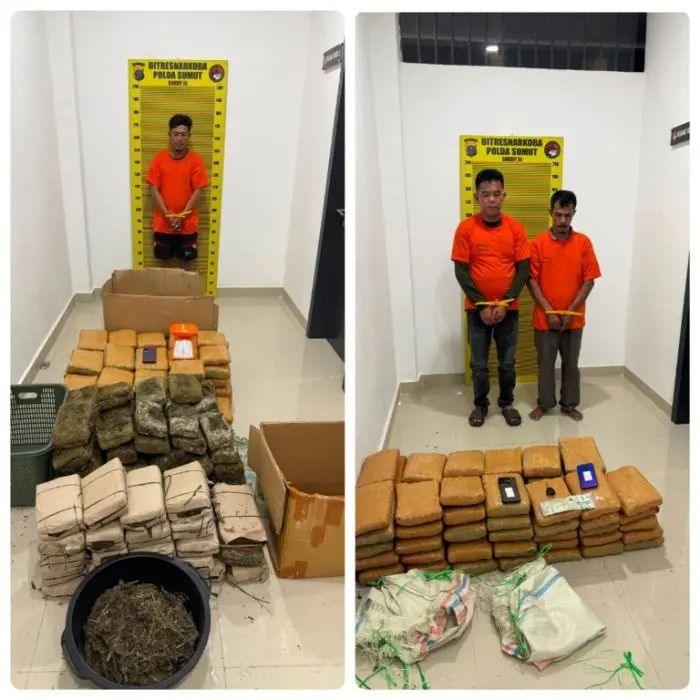 Polda Sumut Sita Lebih dari 180 Kg Ganja dari Dua Lokasi di Sunggal