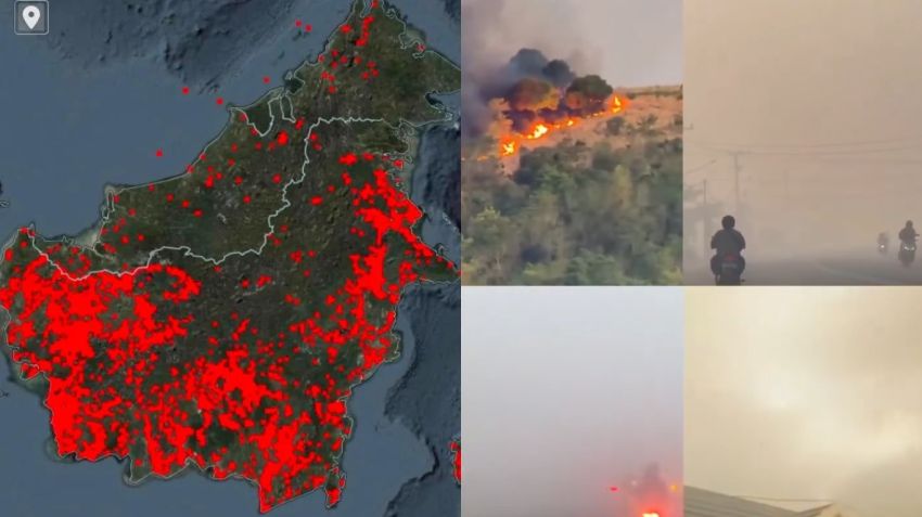 Hutan Tropis Indonesia Seharusnya Sulit Terbakar, Lalu Mengapa Api Bisa Menguasai Kalimantan?