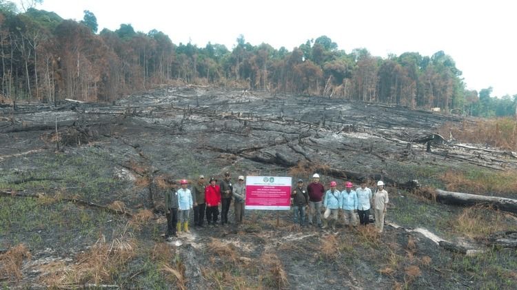 Kemenhut Bongkar Dugaan Kejahatan di Balik Karhutla: Ada Pembukaan Hutan hingga Jual-Beli Kawasan