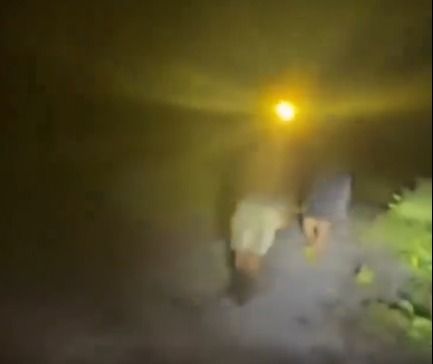 "Nggak Ada, Sana Sana!" Video Viral Bocah Pergoki Pria Bersenter Berujung Penangkapan Terduga Pelaku Karhutla