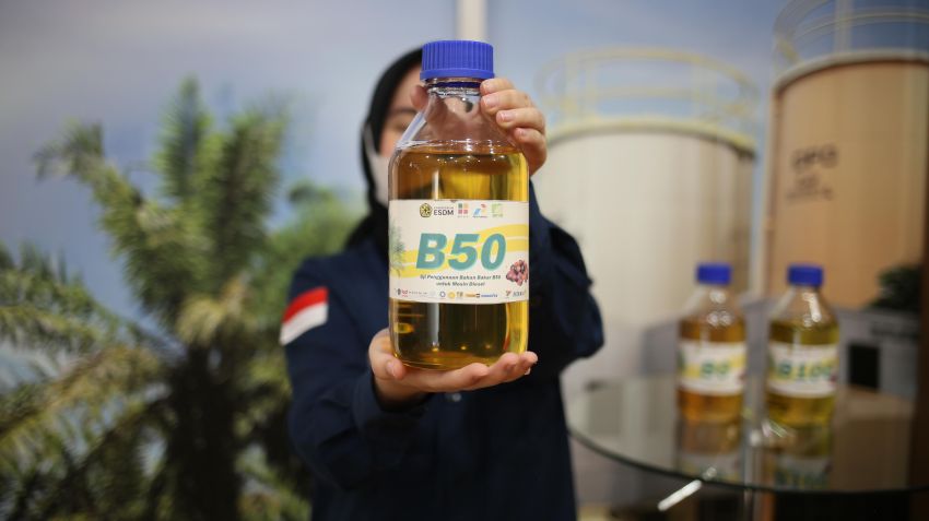 Sebulan Pakai B50, Sopir Truk Ikan Asin dan Angkutan Umum Sumut Akui Mesin Tetap Aman