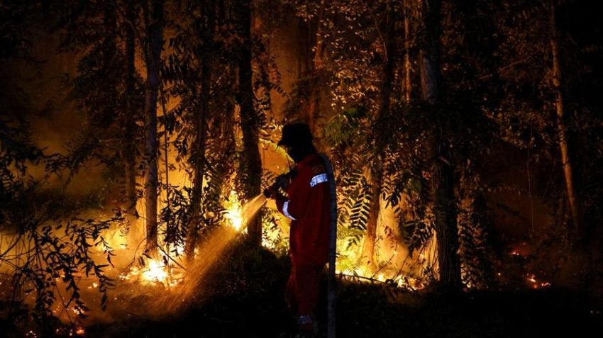 Bara Api Bersembunyi di Bawah Gambut, Pemerintah Kerahkan 12.880 Personel dan Bangun Sumur Bor Lawan Karhutla Kalimantan