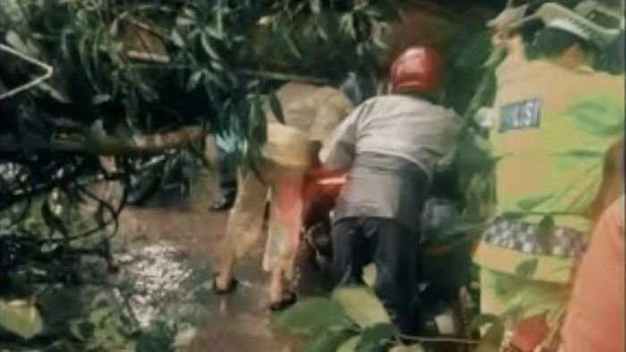 Jalur Wisata Medan-Berastagi Lumpuh Total Akibat Pohon Tumbang, Polisi Gercep Evakuasi & Imbau Pengendara Cari Jalan Alternatif