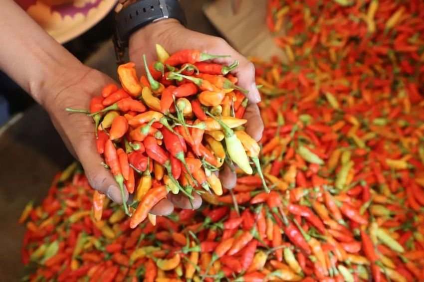 Cabai Rawit Merah Meroket Tembus Rp93.150 per Kg, Harga Pangan Lainnya Ikut Bergerak