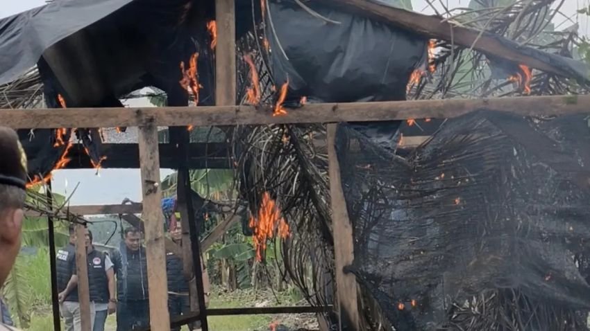 Polres Binjai Bakar Barak Diduga Jadi Sarang Narkoba di Tengah Kebun Jagung, Puluhan Bong Ditemukan