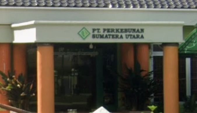 PT PSU Laporkan Dugaan Korupsi Replanting ke Polda Sumut, Eks Pejabat Diduga Terima Rp1,2 Miliar
