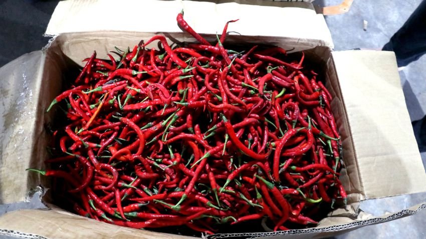 Tembus Rp 70 Ribu/Kg dan Lampaui HET, Pemprov Sumut Siapkan Pasokan Cabai Merah Luar Daerah