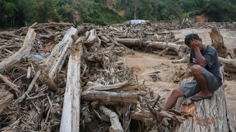 Sawah Tertimbun Lumpur 1,5 Meter, Petani Tapsel Terdesak Kerja Serabutan Demi Sambung Hidup
