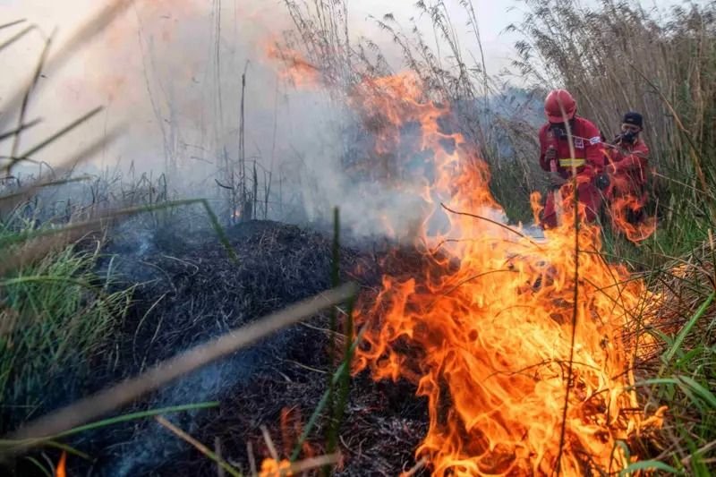 Darurat Udara Kotor! Medan Diselimuti Asap Kiriman Tetangga hingga AQI Tembus Angka 103, BMKG Imbau Warga Waspada
