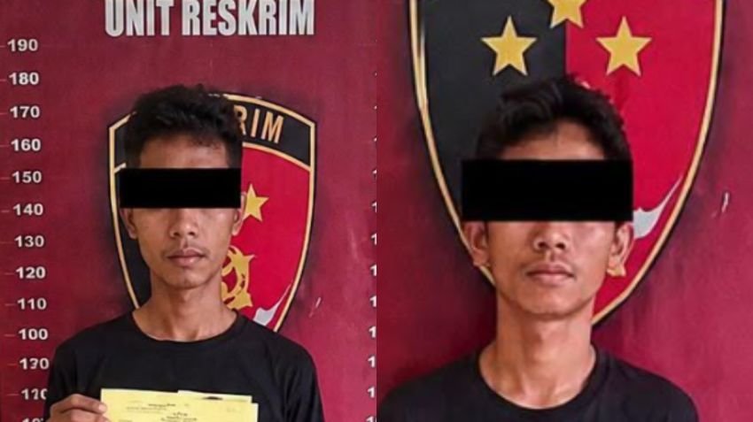9 Ikan Koi Senilai Rp6 Juta Dicuri di Deli Serdang, 8 Mati dan 1 Digoreng