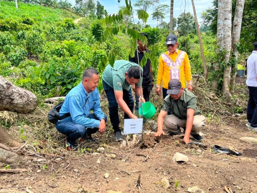 PHE NSO Restorasi Lahan Kritis di Aceh Utara untuk Pulihkan Habitat Gajah