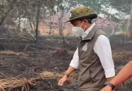 Izin 5 Perusahaan di Kalbar Dibekukan Imbas Karhutla, Menhut: Bisa Berujung Pidana