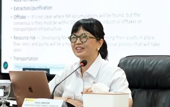 Wamendiktisaintek Sebut AI Bisa Picu &ldquo;Kematian Berpikir&rdquo;: AI Makin Pintar, yang Menggunakan Tetap Bodoh