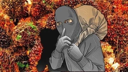 Raup Rp 21 Juta Sebulan dan Ancam Nyawa Pekerja, GAPKI Desak Polisi Sikat Penampung Sawit Curian