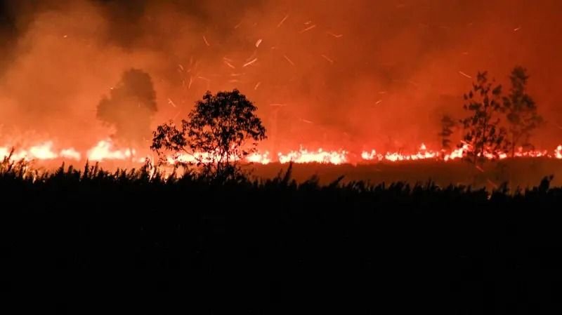 Meski Wilayahnya Lebih Kecil dari Rusia, Intensitas Emisi Karhutla RI Justru 7 Kali Lebih Parah