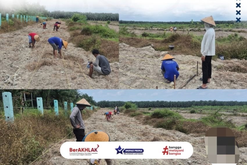 Kalapas Labuhan Ruku Tinjau Lahan Pisang dan Jagung di Air Joman, Perkuat Program Ketahanan Pangan
