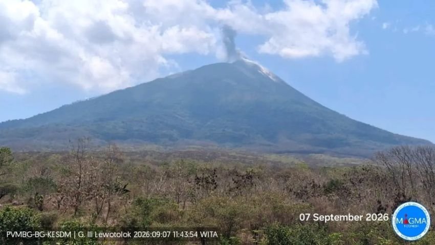 Gunung Ile Lewotolok Kembali Erupsi, Hujan Abu Vulkanik Mulai Capai Rumah Warga di Lembata