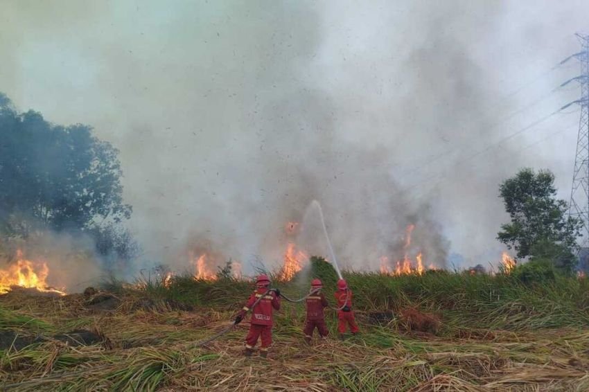 Kabut Asap Kiriman Mereda, Kualitas Udara Sumut Membaik dan Deli Tua Paling Segar