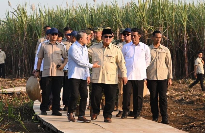 Zulhas: Tak Ada Negara Maju Tanpa Swasembada
