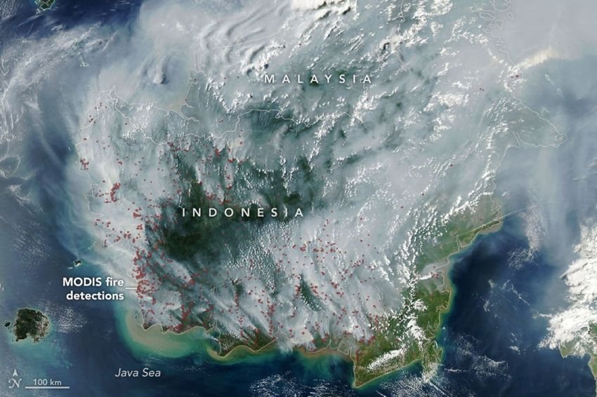 Begini Penampakan Pulau Kalimantan yang Dirilis NASA, Diselimuti Asap Karhutla dan Ratusan Titik Panas Terlihat