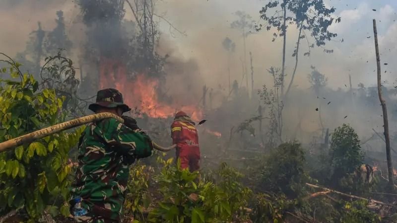 Gelombang Desakan Karhutla Jadi Bencana Nasional Memuncak, Istana Bertahan
