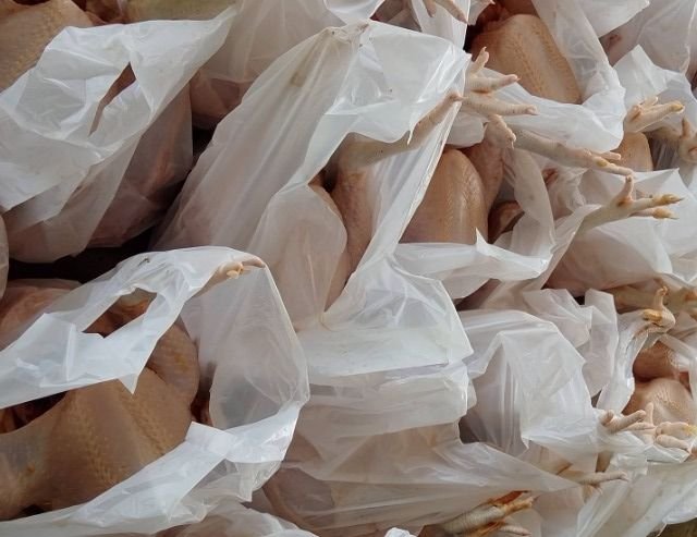 Harga Ayam Potong Turun Jadi Rp38.000 per Kg, Berpotensi Picu Deflasi Sumut Oktober 2026