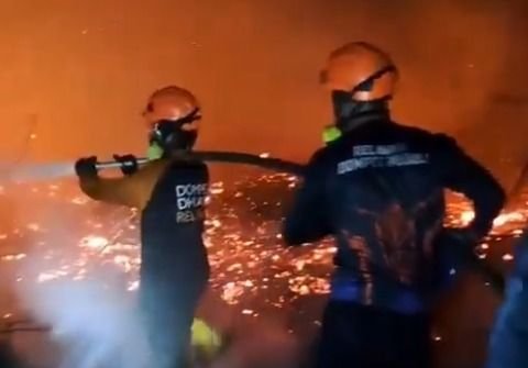 Singapura Identifikasi 7 Perusahaan Indonesia Terkait Karhutla, Ini Nama-namanya