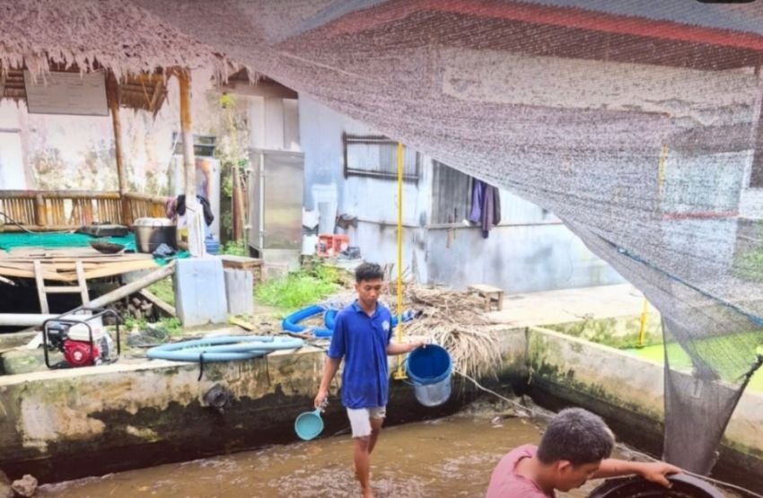 Lapas Labuhan Ruku Tingkatkan Kemandirian Warga Binaan Lewat Sortir Ikan Lele