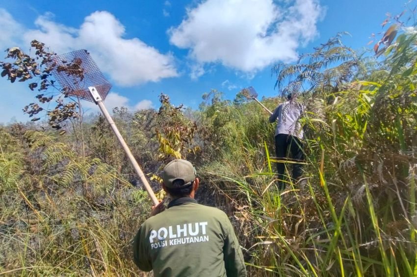 Jarak Pandang Anjlok 4 Km, Kabut Asap Pekat Kepung 19 Kabupaten/Kota di Sumut
