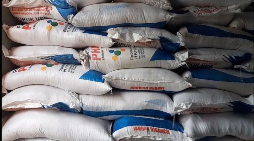 Pupuk Subsidi Langka dan Dijual Tembus Rp 200 Ribu, Petani Sipirok Pusing Ratapi Panen