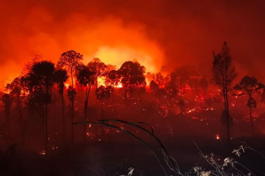 DPR Bergerak Usai Gertakan Prabowo! Pembakar Hutan Bakal Dijerat Pasal Terorisme Lingkungan