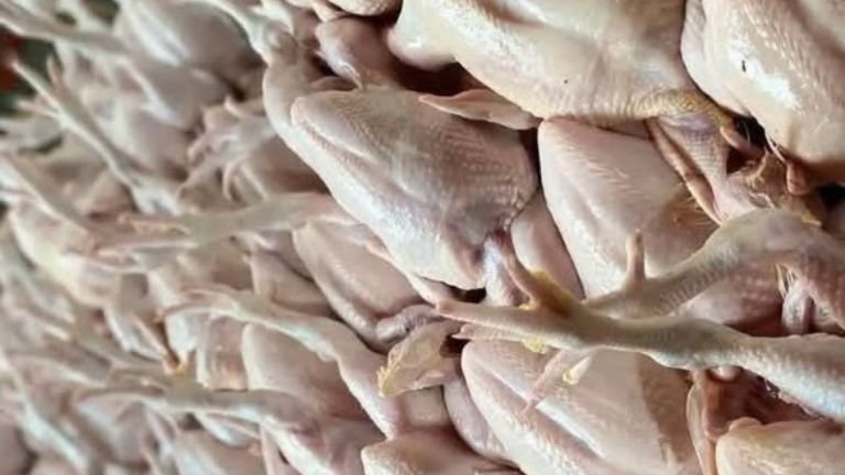 Harga Ayam di Medan Turun Jadi Rp 27 Ribu per Kg, 4 Daerah di Sumut Masih di Atas HET
